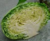 Original Shandong Fresh Brand Chinese Cabbage