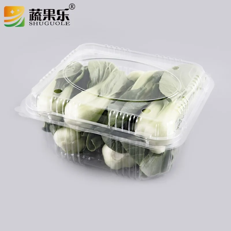 China Suppliers Clear Plastic Vegetable Lettuce Packaging Box Buy