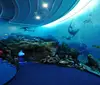 Factory Design Used Acrylic Fish Tanks Aquarium for Sale