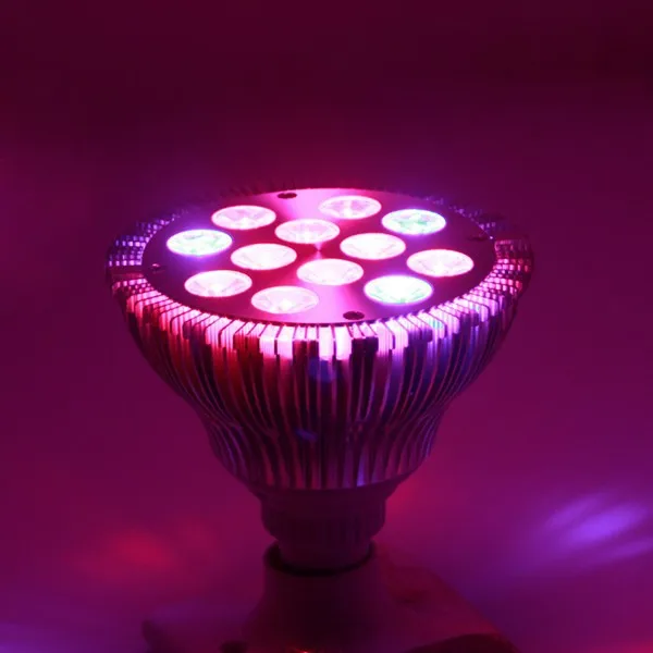 
Par38 36W(12x3w ) E27 36w led grow lights for orchids, roses, peppers, tomatoes, lettuce 