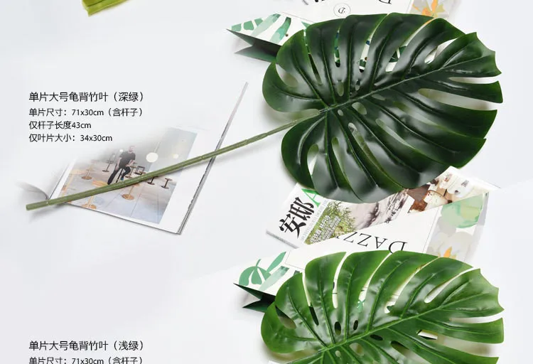 monstera (7).jpg