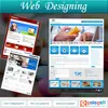 Cheap b2b b2c c2c Website design & Development Services with Web Hosting from India