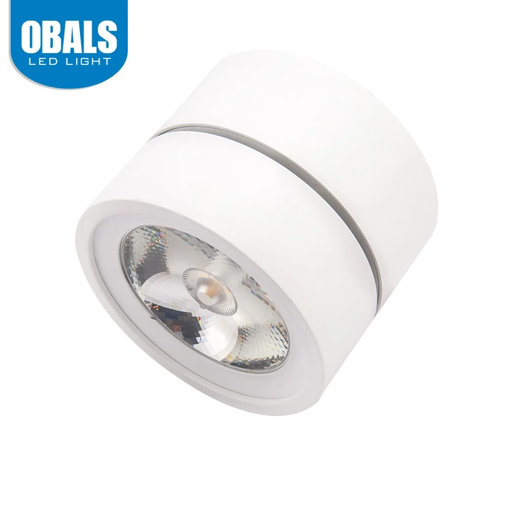 Obals led shallow recessed downlights dimmable trimless Lutron 2700k led downlight