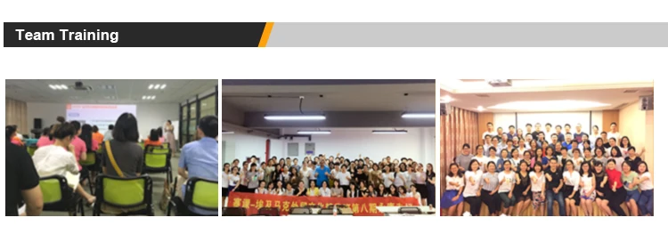 Professional Muscle Strength Workout Bungee Trainer Harness