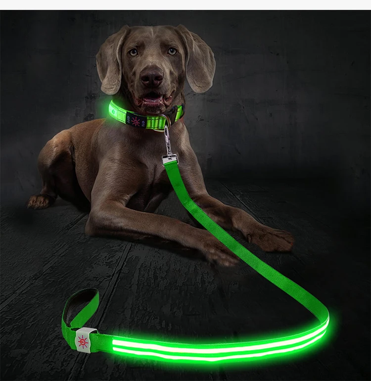 Amazon Outdoor Dog Training LED Glow Leash