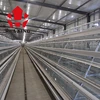 Poultry equipment chicken brooder for sale in kenya battery cage system layers farm