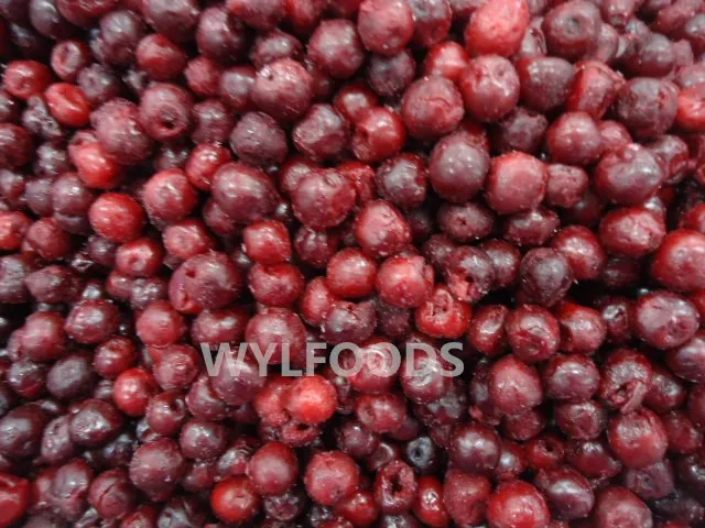 IQF sour cherry(1)