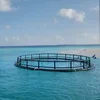 Anti-Wave anti-fouling Aquaculture Feshery Floating HDPE Circular Trout Fish Farm Cage in Deep Sea