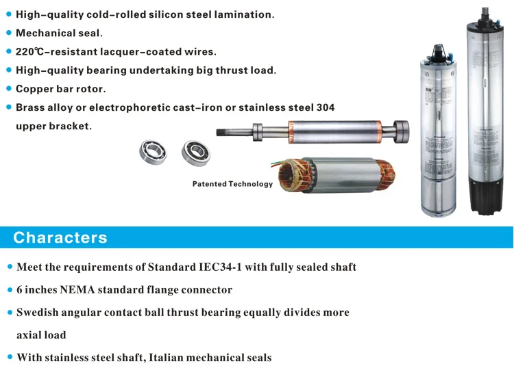 6 inch submersible motor