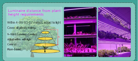 grow lights