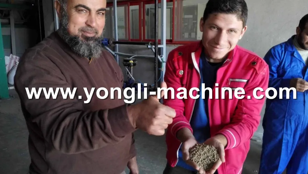 technical assistance Field leader Floating fish feed production line