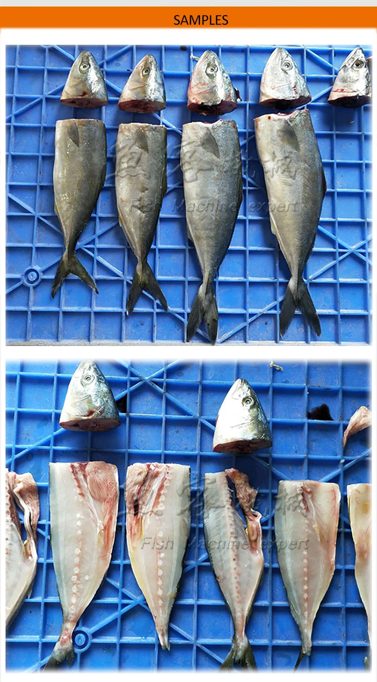 Fcm 618 Yuke High Efficient Automatic Fish Head Cutting Machine