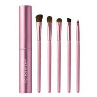 

Private label 5pcs portable eyeshadow brush set travel eye makeup brush set For Makeup Tool Kit