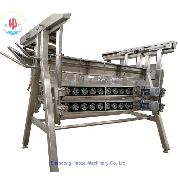 rough plucking machine1