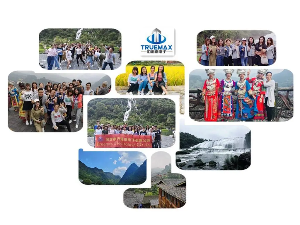 Truemax Travelling