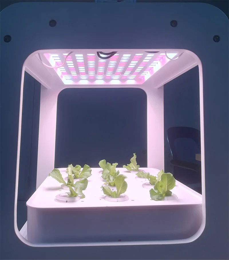 

White color 24w Whole Complete Grow System Kit With lighting/ pump/ grow baskets and planting sponge, Full spectrum
