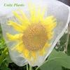 white fly fruit bag/greenhouse anti insect net bag,pest control net bag