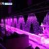 Indoor or Outdoor Graphical Digital Water Curtain Swimming Pool Water Curtain