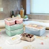 Hot Sale Customized Eco-Friendly Wheat Straw Material Plastic Food Container Lunch Box