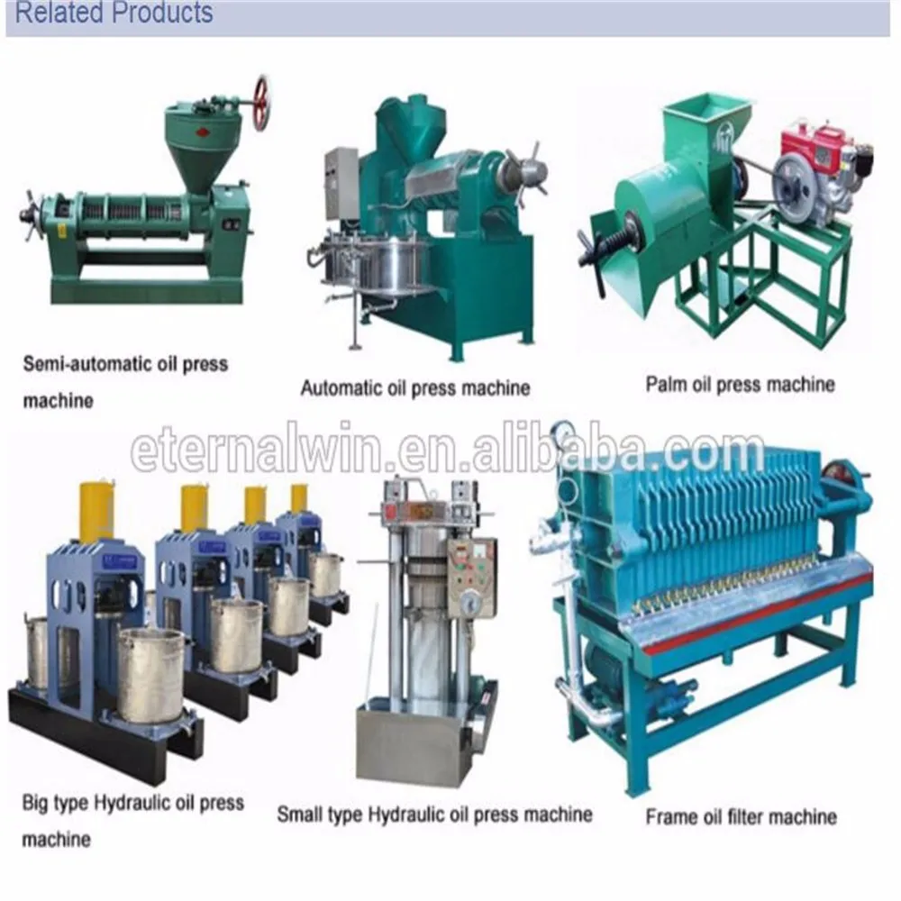 Cold Corn Oil Press Machine Soybean Peanut Oil Press Machine Palm Seed