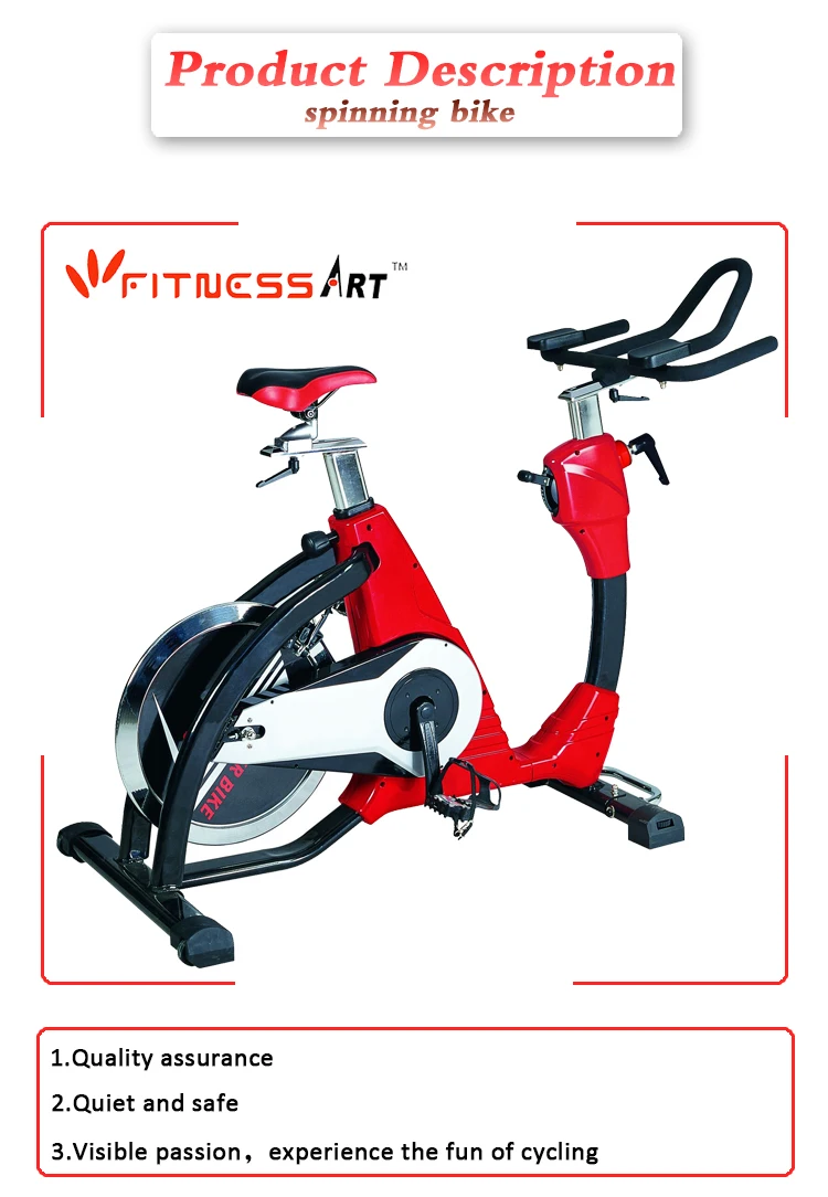 professional exercise bike