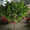 2018 new customized design indoor and outdoor decoration green artificial small trees