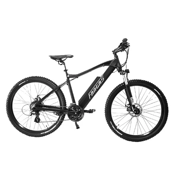 

Fantas-Bike City-hunter002 36V1000W e- bike