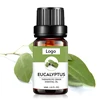 10ML Factory Direct Wholesale Low Price Organic Eucalyptus essential oil
