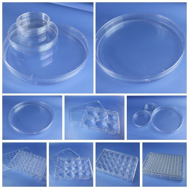 petri dish and plates.jpg