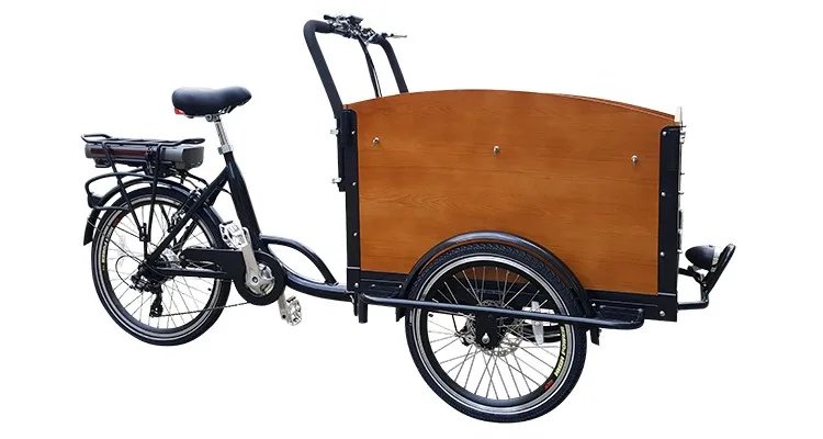 pedal assist cargo bike