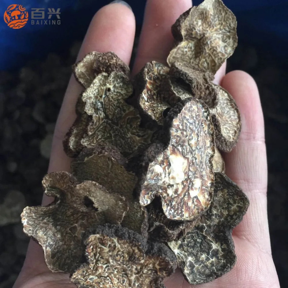 
Chinese best price frozen truffle (Tuber indicum) 
