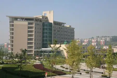 hdpe black roll geomembrane