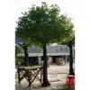 Fiberglass Green Artificial Ginkgo Tree For Indoor Outdoor Decorative
