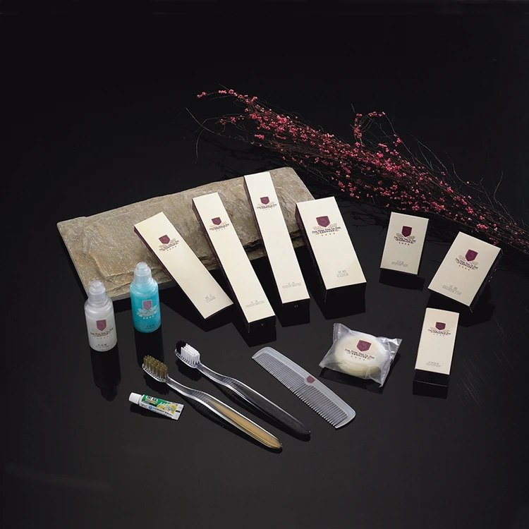 disposable toothbrush kit