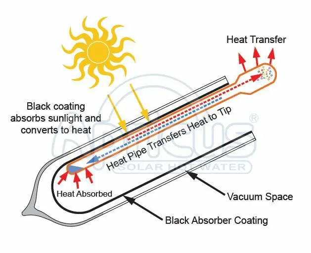 Apricus (AP-20) Domestic Solar Hot Water Heaters