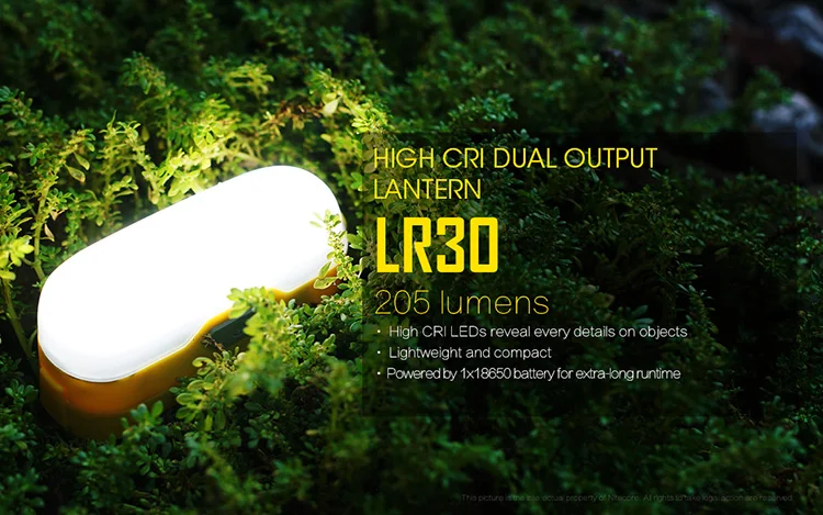 LR30_EN