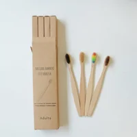 

Custom wholesale travel eco friendly nylon 4 pack hotel bamboo toothbrush custom tooth brush set