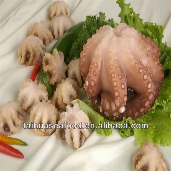 Frozen Octopus            _.jpg