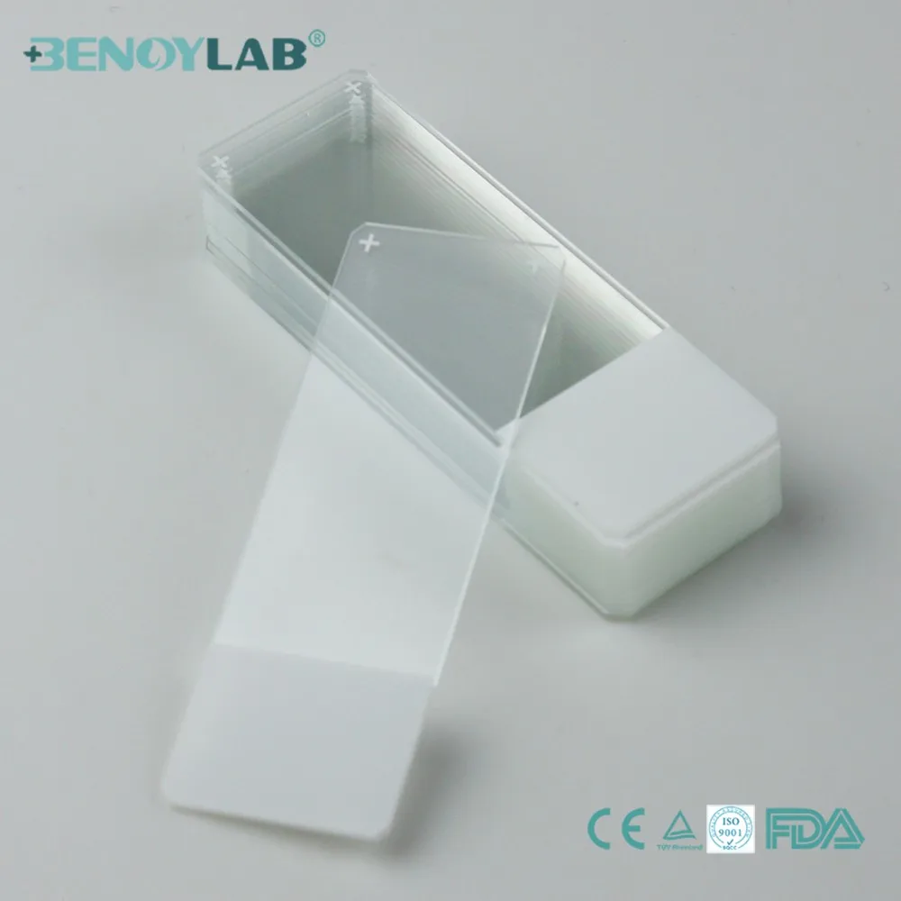 Benoylab Microscope Slides 7101 Plain Ground Edges Buy Microscope