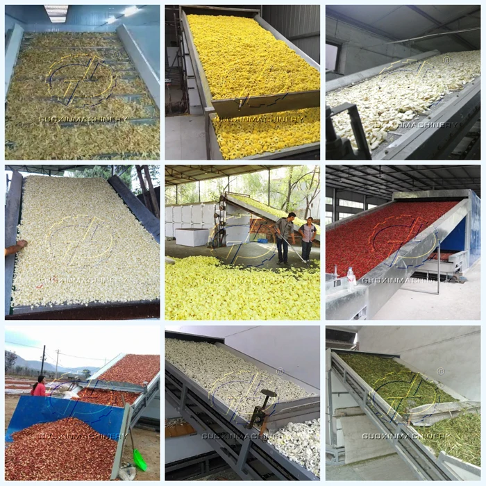 hemp drying machine7