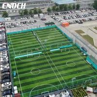 

ENOCH Chinese synthetic grass artificial lawn for football soccer field
