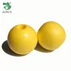 Factory Price B70 70mm Diameter Bouyancy 300g Spherical PVC Fishing Net Float