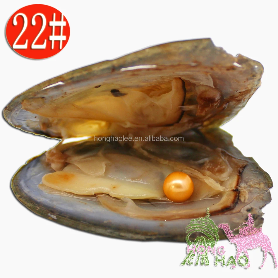 

AAAAA Grade 6-7mm Natural Freshwater Triangle Pearl Oyster 28 Colors Spot Wholesale Free Shipping, N/a