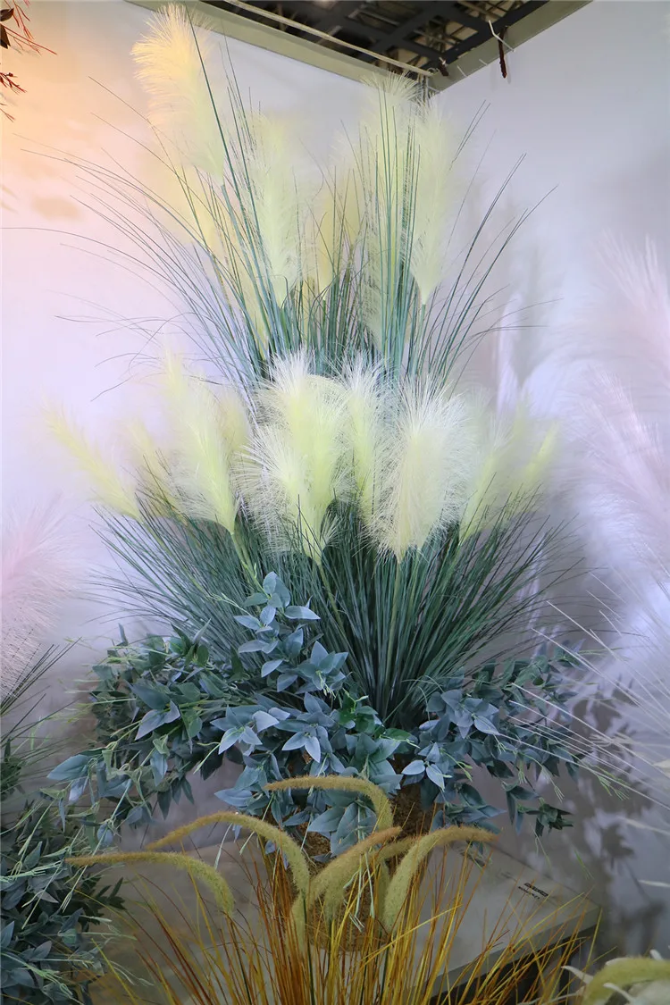 pampas grass (18).jpg