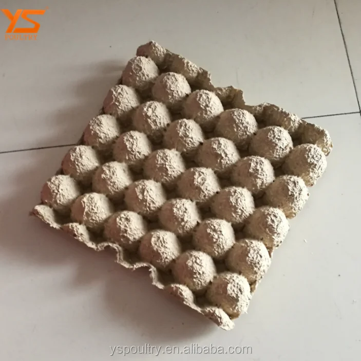 
30 Cells Paper Pulp Egg Carton Paper Egg Trays For Sale 