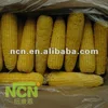Yellow Glutinous Frozen corn on sale