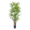2.0m Tropical Rhapis Excelsa Natural Looking Decor artificial Lady Palm greenery