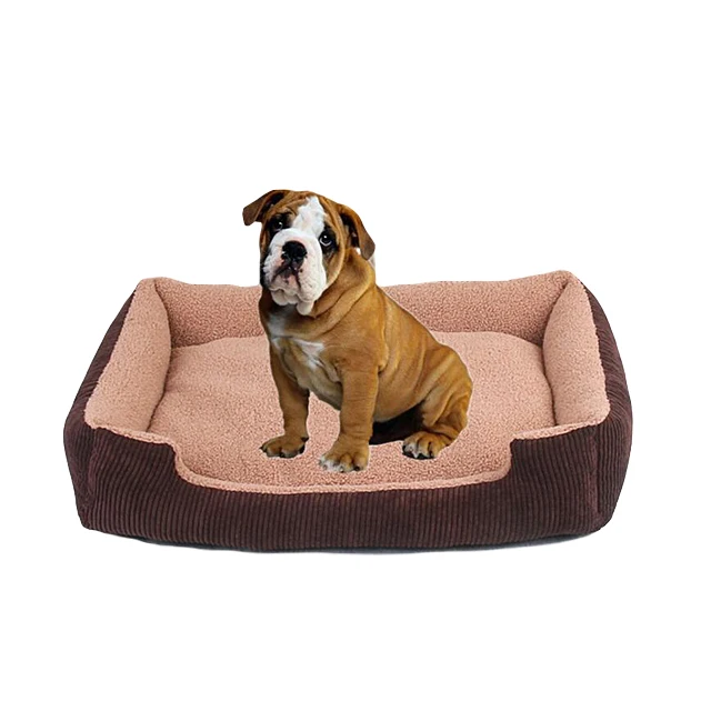 Waterproof Elegant Royal Luxury Cat Dog Bed