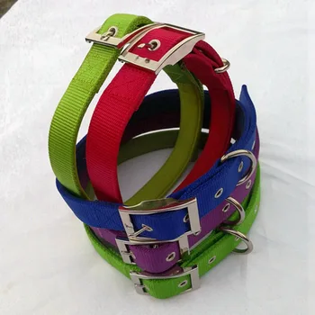 fashion dog collar