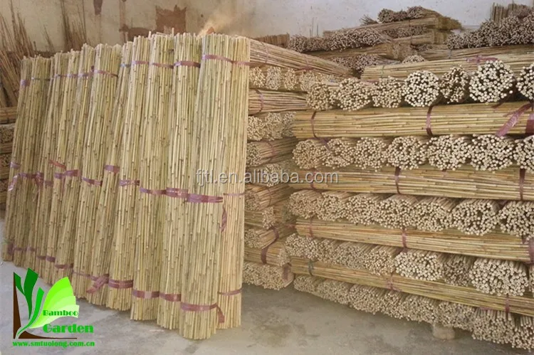 Bamboo Pole Bmaboo Cane Bamboo Stick007